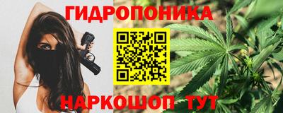наркотики Будённовск