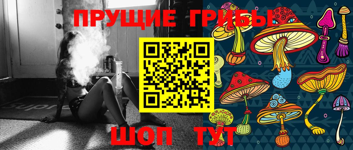 Псилоцибиновые грибы GOLDEN TEACHER Лиски